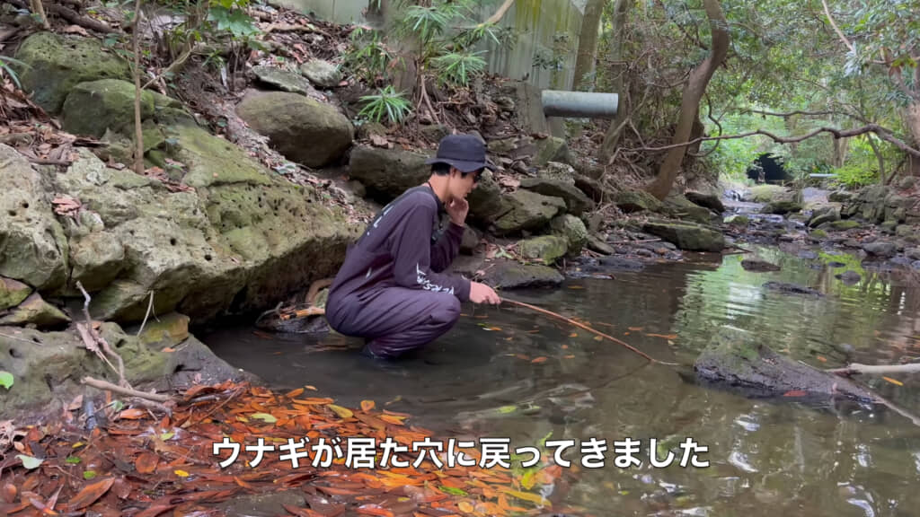 1時間以上休ませたため、警戒が薄れているかもしれません