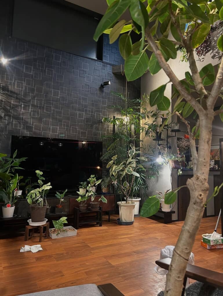 植物がいっぱいのリビング