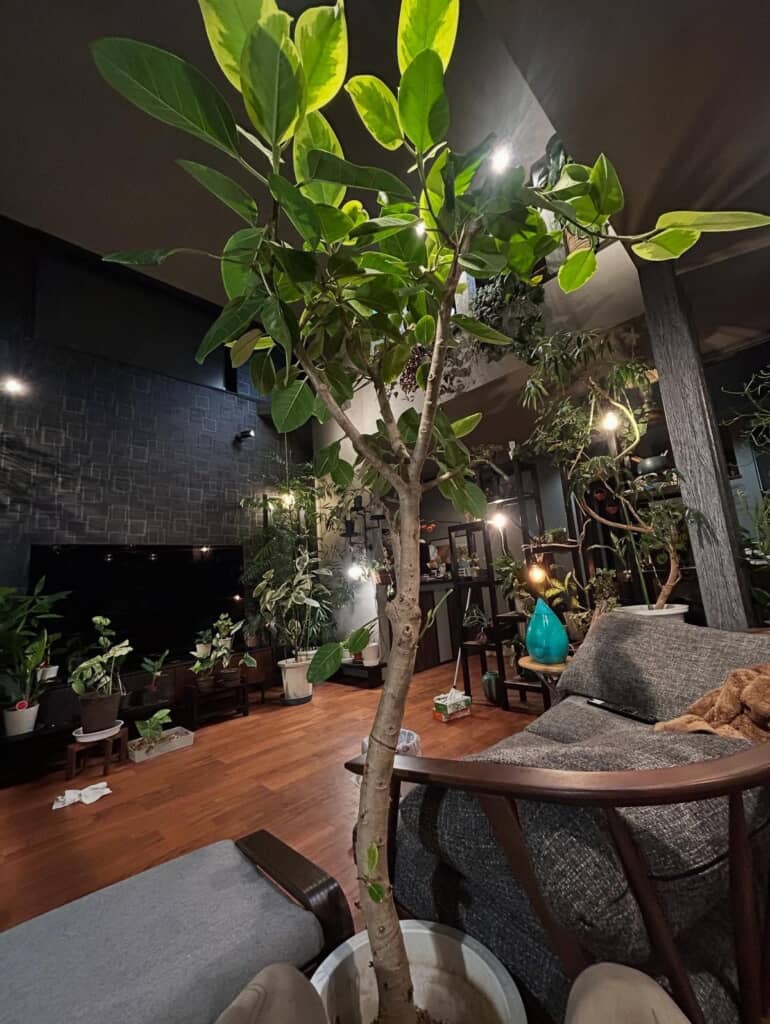 ソファでくつろげる癒やしの空間