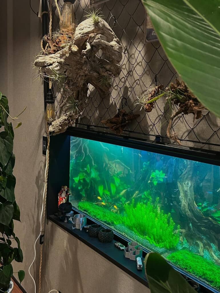 水槽やエアプランツを着生させた流木もすてき