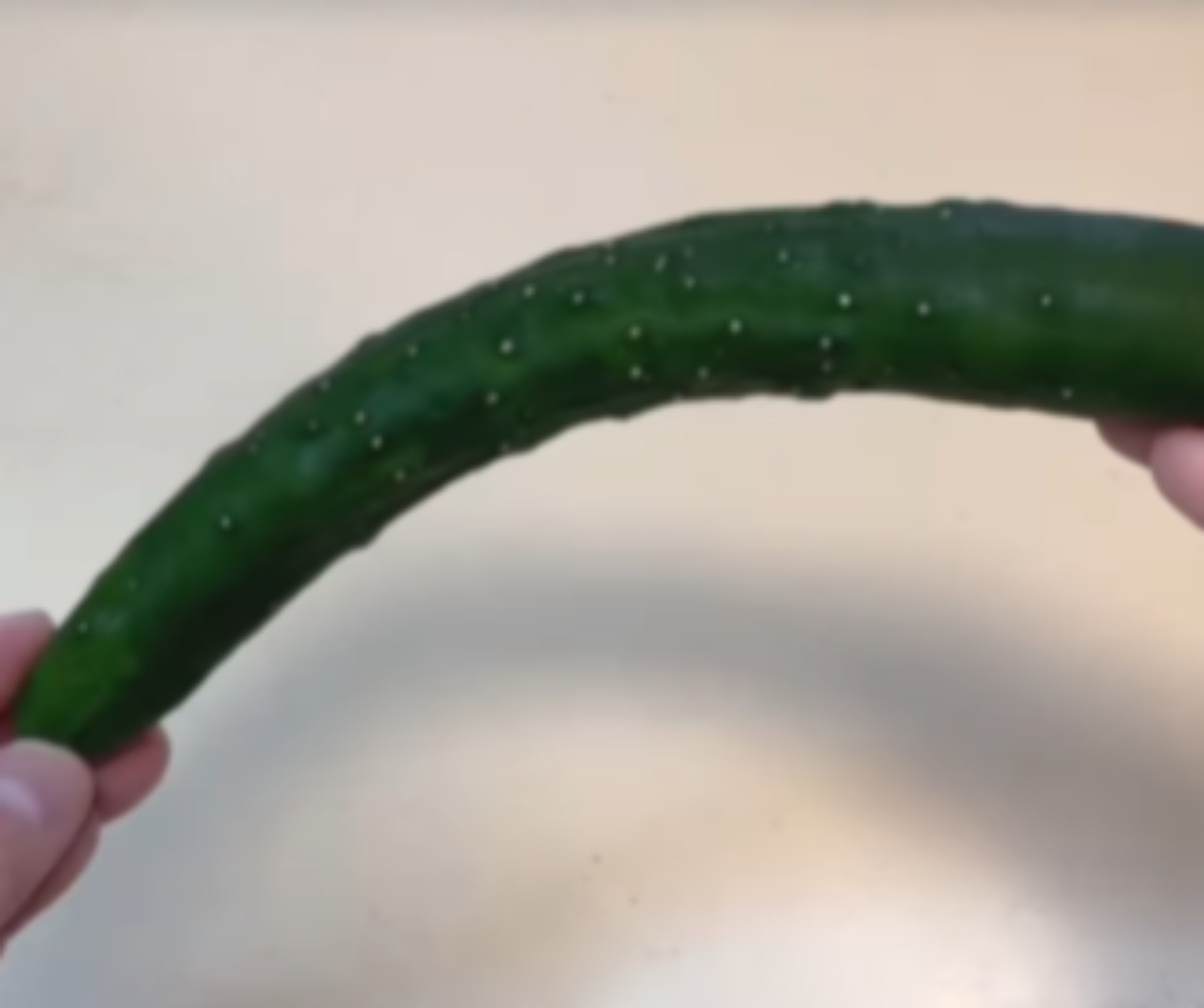 シナシナの古いきゅうり→目からウロコの裏技で……「すごーー！」　“かっぱもよろこぶ”ライフハック7連発に「やってみます」と絶賛の嵐（1/3） | ライフハック ねとらぼ