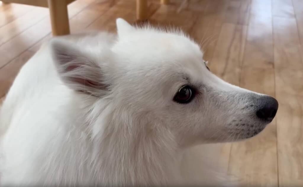 横顔はイケメン