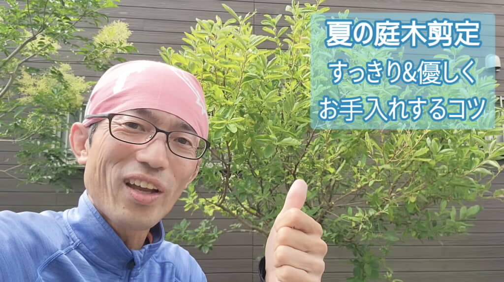 夏の庭木剪定のコツを伝授