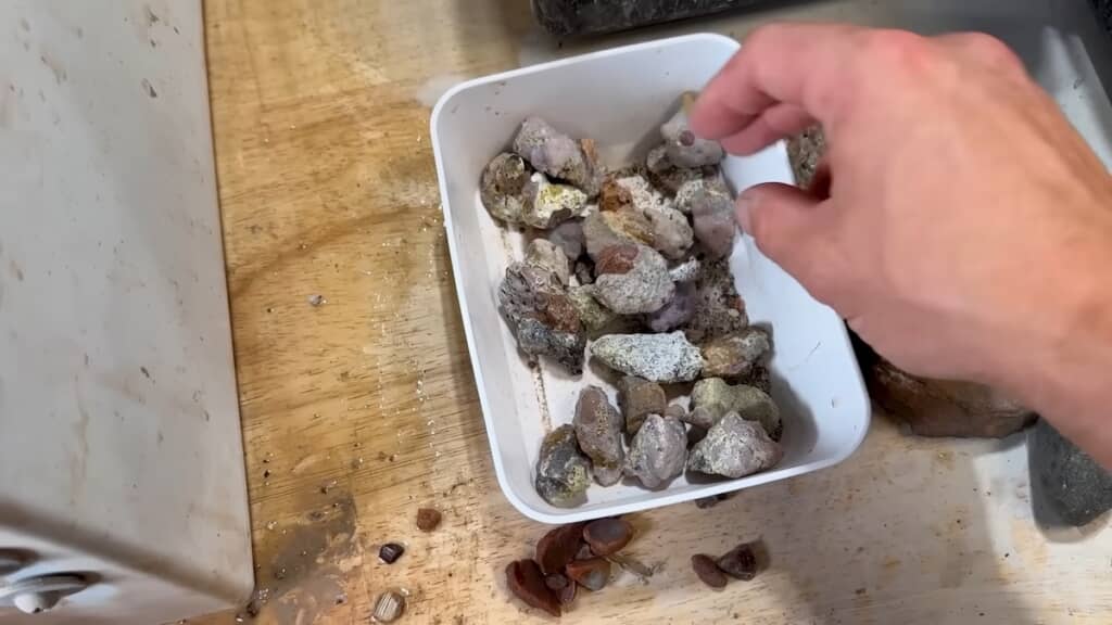 ケースに入ったメキシコ産のメノウ