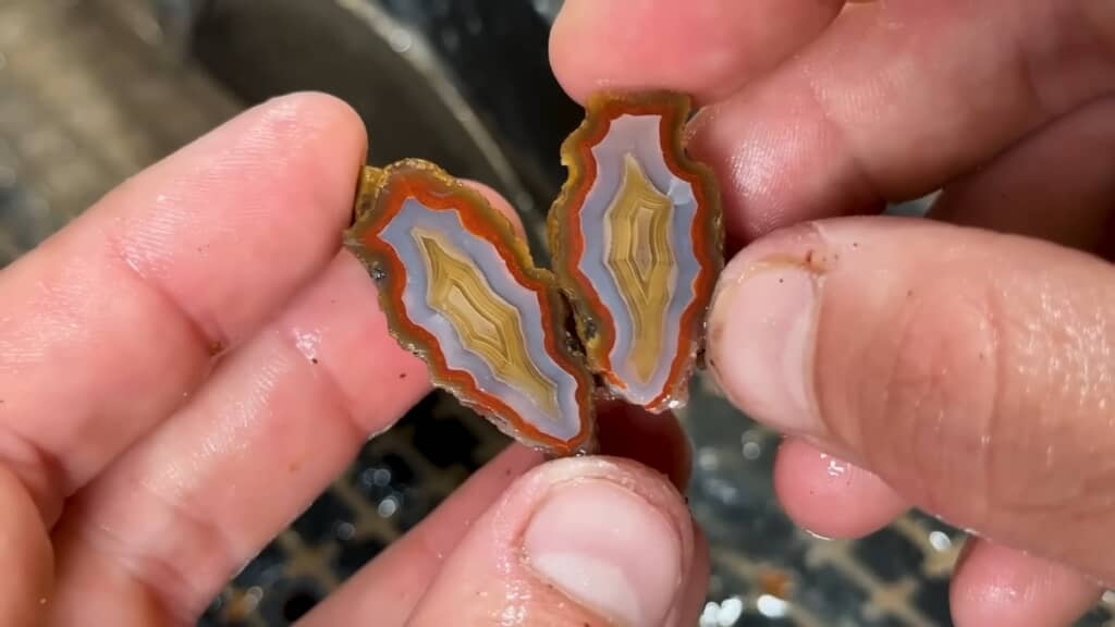 思わぬ美しい模様が！