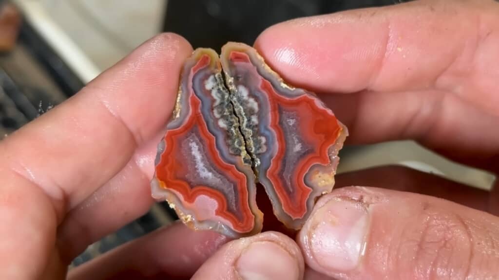 今回の大当たり