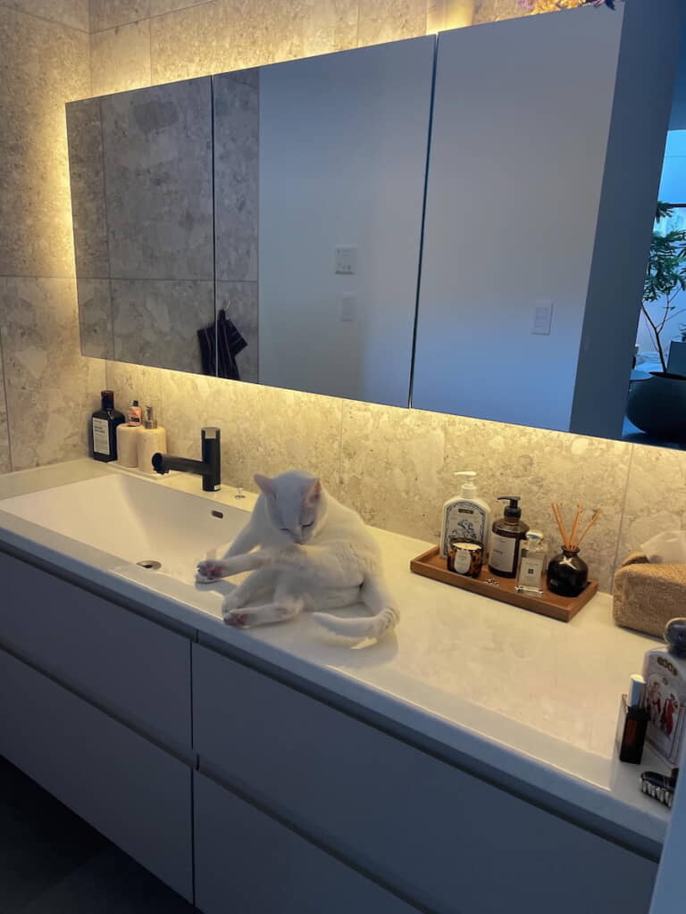 毛づくろいする姿も美しい……
