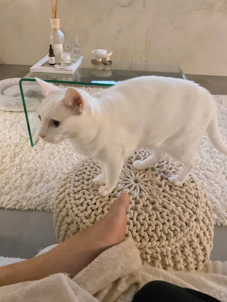 バランスボールを使いこなす北川景子