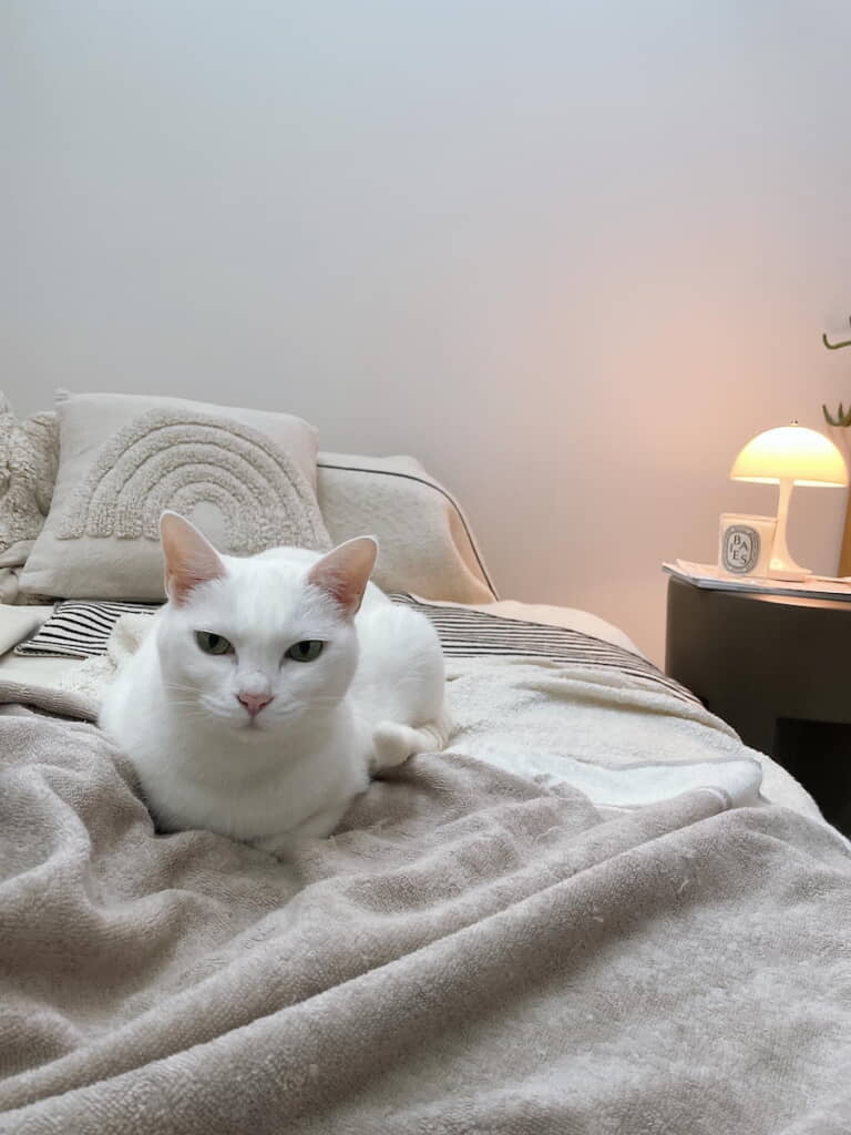 うちのマドンナ北川景子　だいたい不機嫌面w