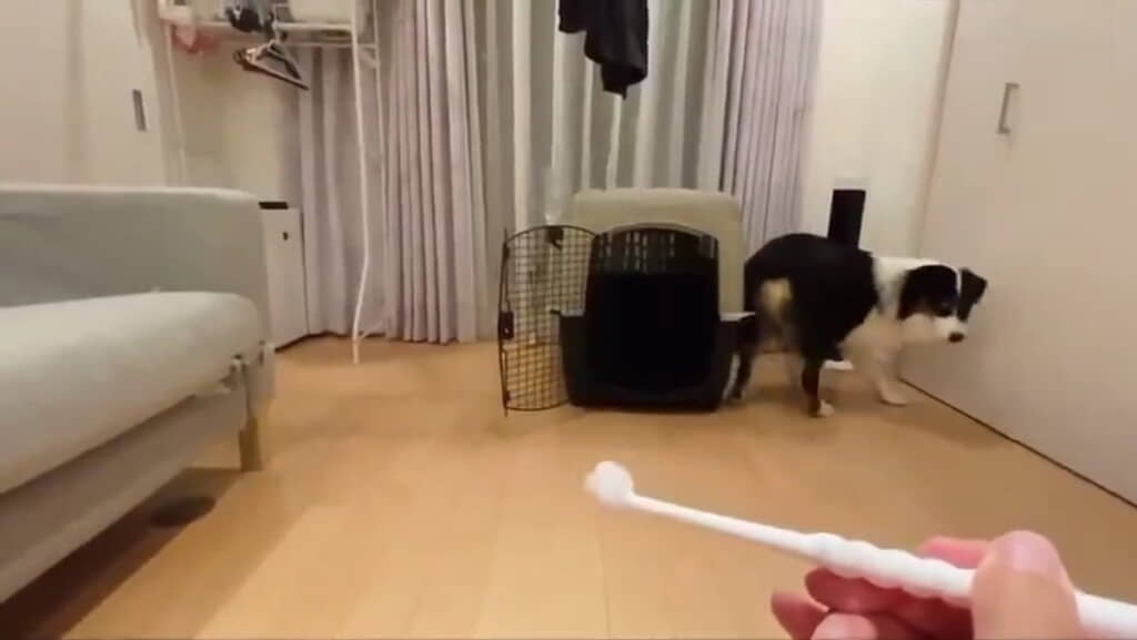 よかったよかった