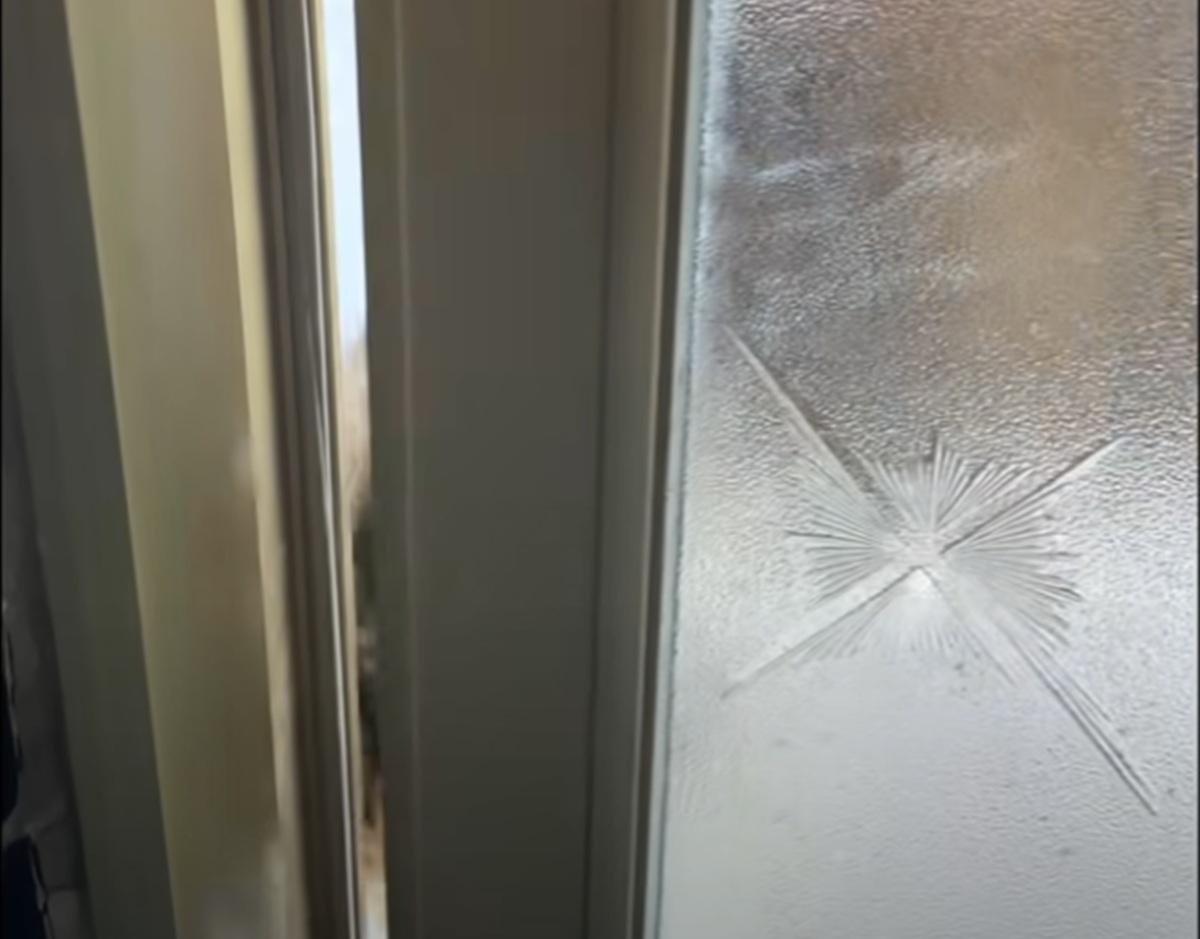 朝7時半、大好きな地域猫の声で玄関を開けると、そこにいたのは……　まさかの光景に驚き「本当に賢い子」「一時はどうなることかと」（1/3） | 猫 ねとらぼ