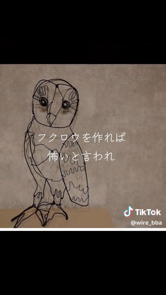 怖いといわれてしまったフクロウ