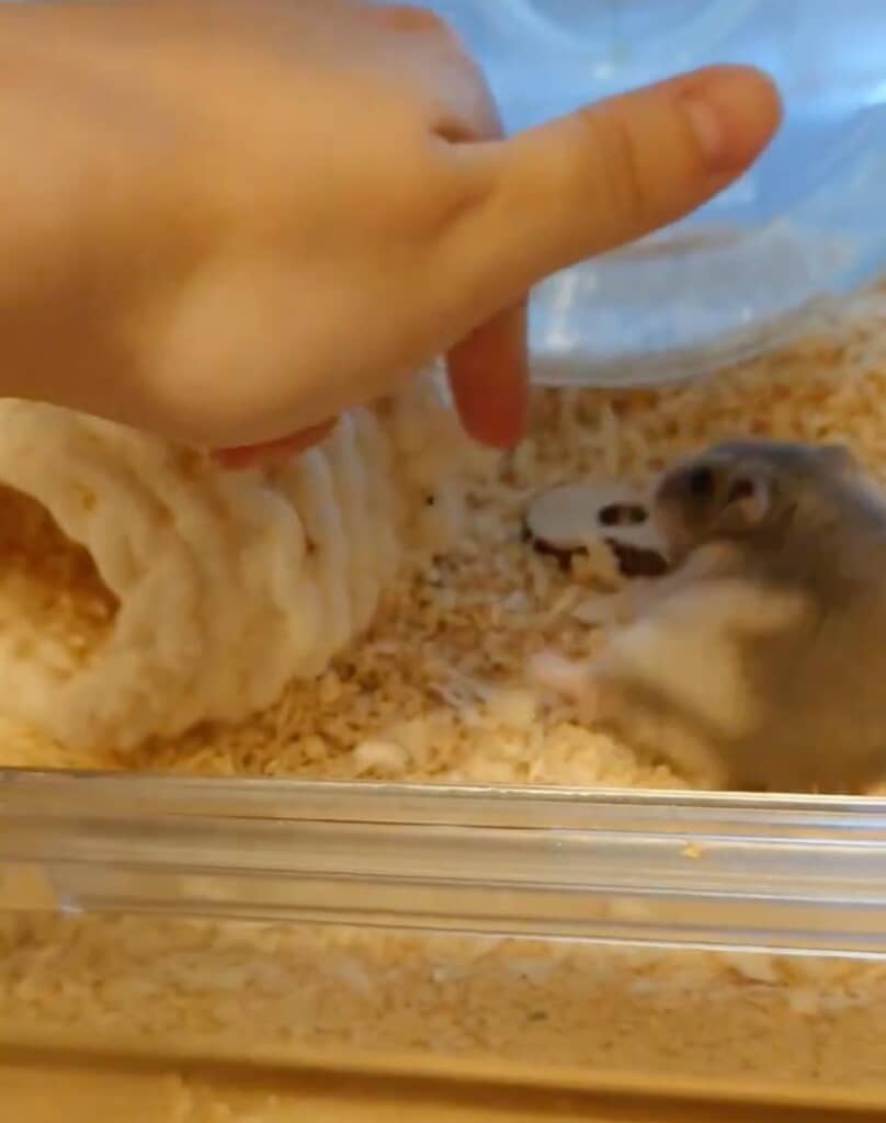 指を引っ張りきれず転んでしまいます