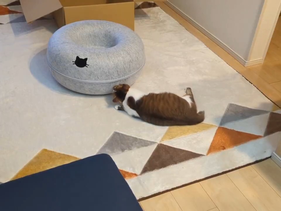 ちょっとクンクン