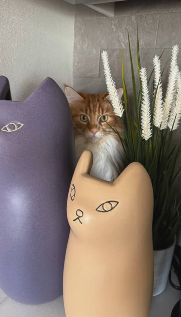 そこ選んだのすごい……!!!!!!