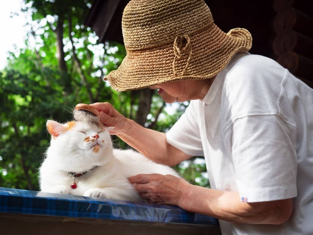 ブラッシングをしてもらうメイちゃん