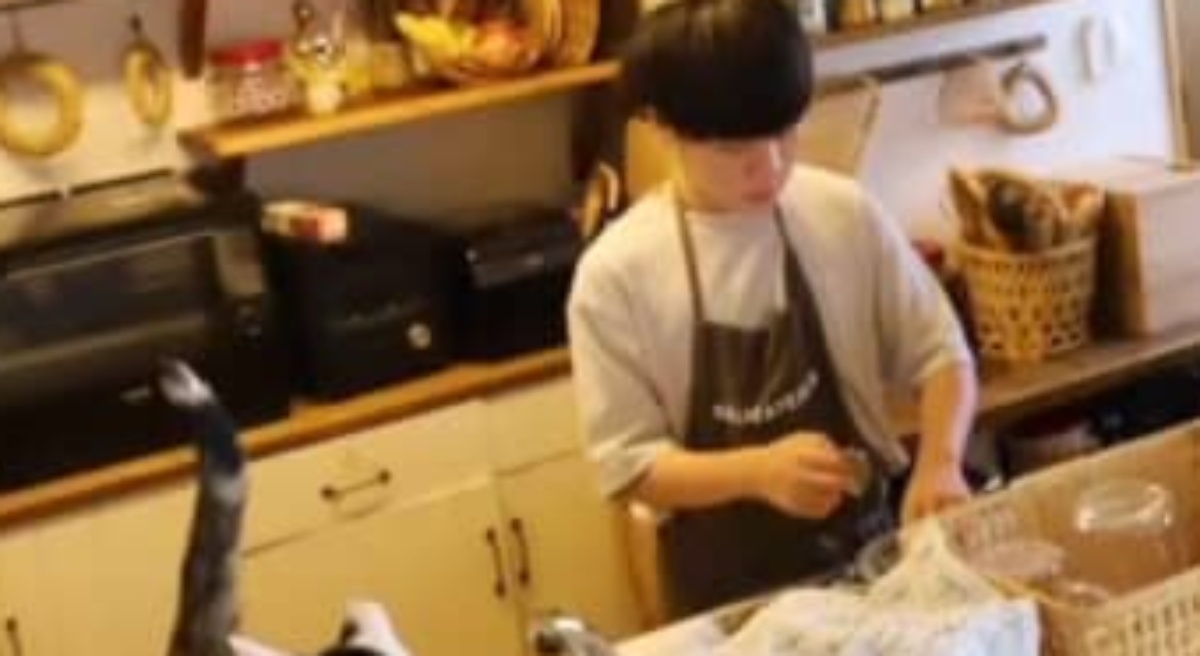 「こんなお兄ちゃんいたら最高」　13歳妹「喫茶店メニューが食べたい」→中3兄が何時間もかけて作った料理が「オシャレすぎ」「すごすぎて感動」の声（1/3） | ライフスタイル ねとらぼ