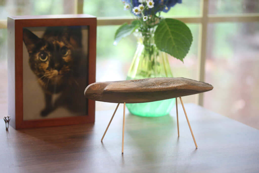 かつおぶしの精霊馬!?