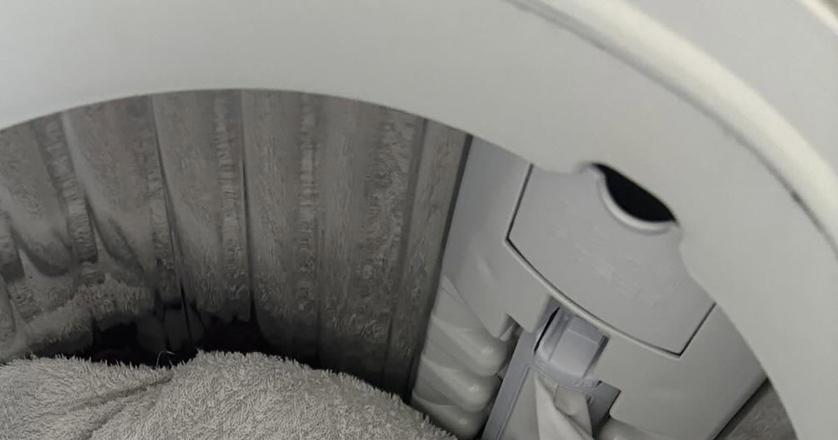 洗濯物を取り出そうとしたら……「なんで？」　分かる人には分かる光景に「笑っちゃう」「ウチもありますw」（1/3） | ライフスタイル ねとらぼ