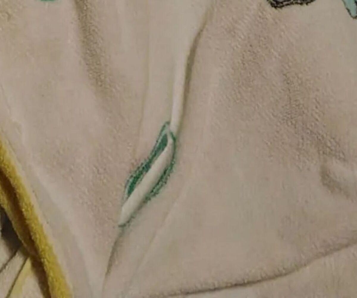 実家の押入れから出てきた“怪しげな布”→広げたら……　まさかの正体に仰天「わぁ羨ましい」「お宝やん」 | ライフスタイル ねとらぼ