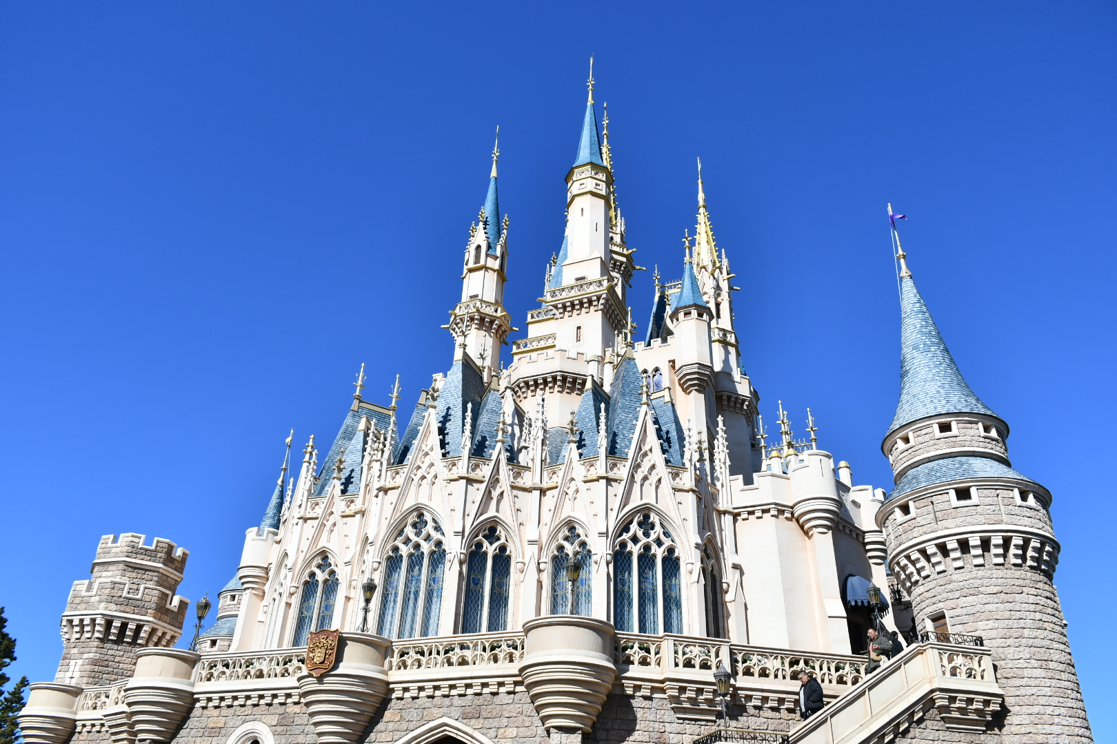 「やばばばば」ディズニー・ハロウィーンの“ダンサー風”身に着けグッズにファン歓喜　「待ってましたぁぁぁ」「売り切れませんように！」（1/3） | ディズニー ねとらぼ