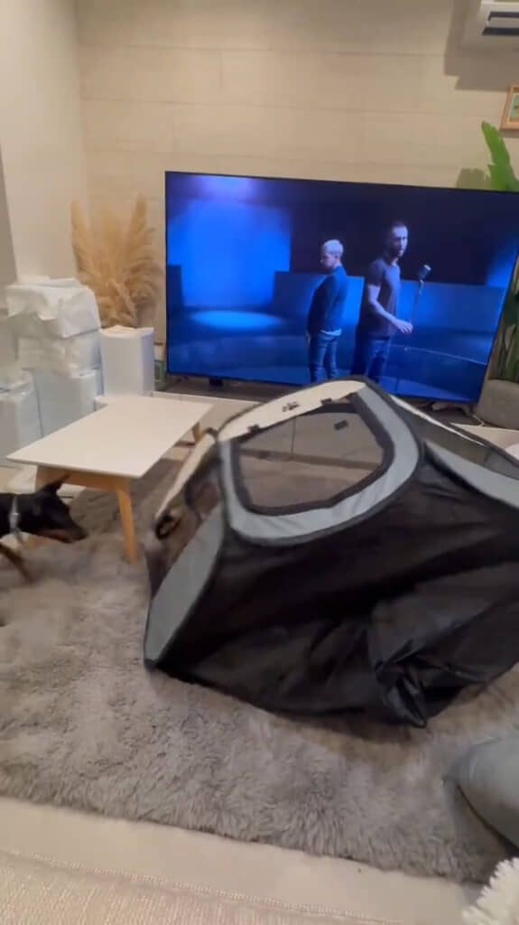 ハウスが動いてる!?