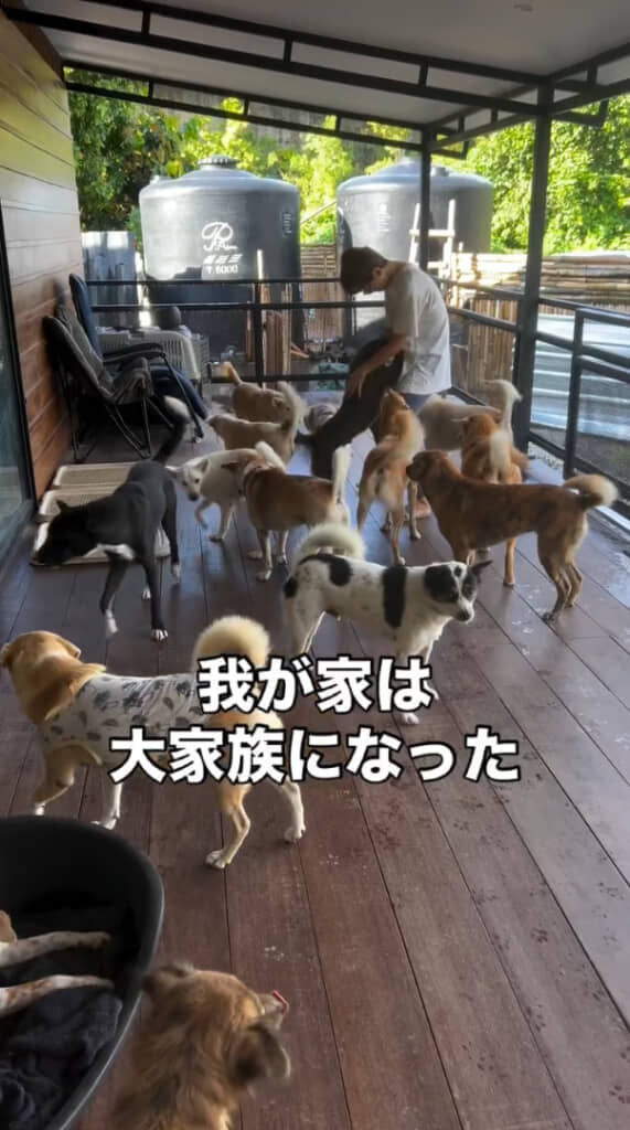 かなりの大家族に