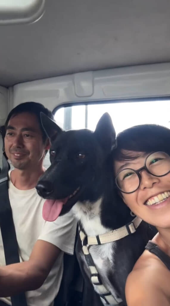 今も夫婦で保護活動を続けています