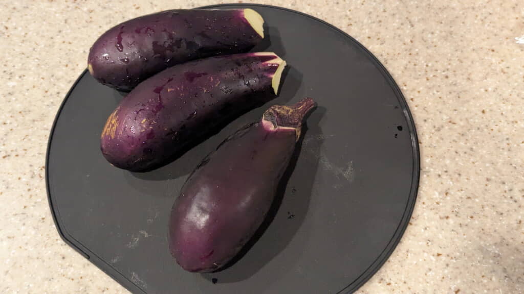 安かったので買ってきたナス