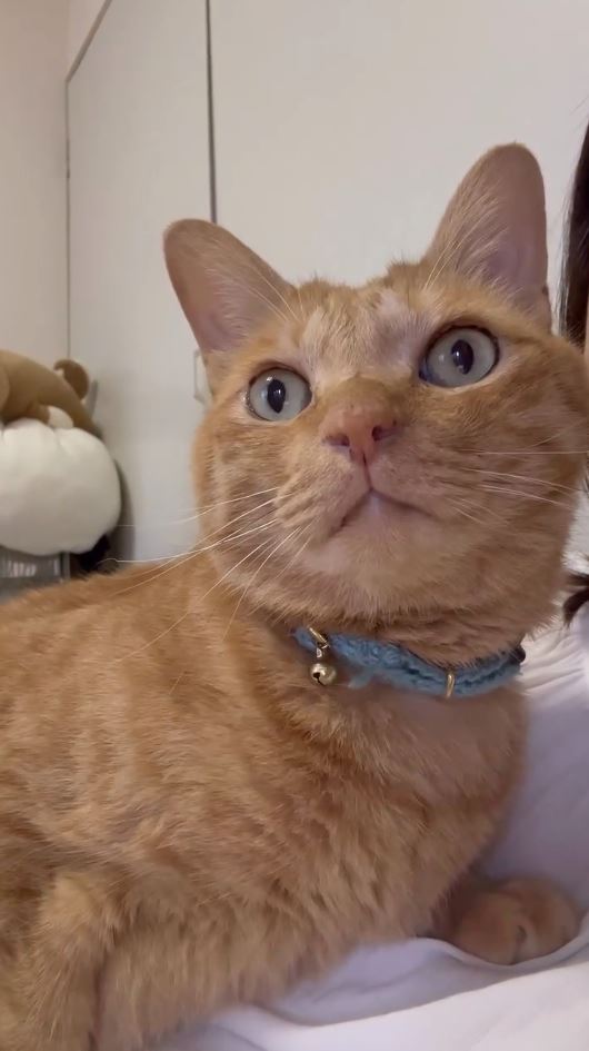 ママが大好きすぎるちまきくん