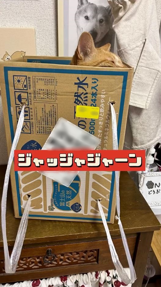 段ボールで作ってみた！