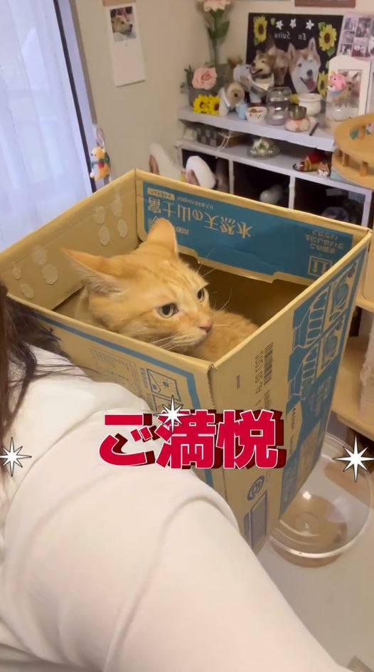 ご満悦なちまきくん