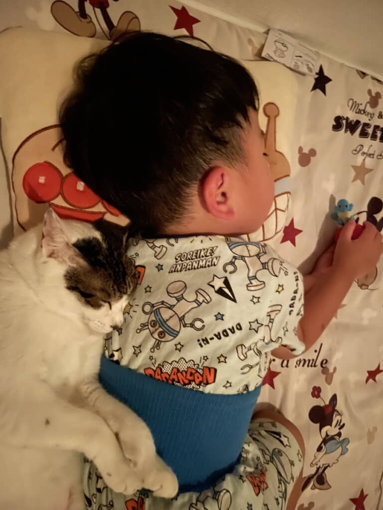 好きなものを手に入れた喜びが伝わってくる寝姿
