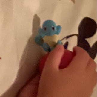 「頑張って並んで手に入れたハッピーセットのゼニガメ」