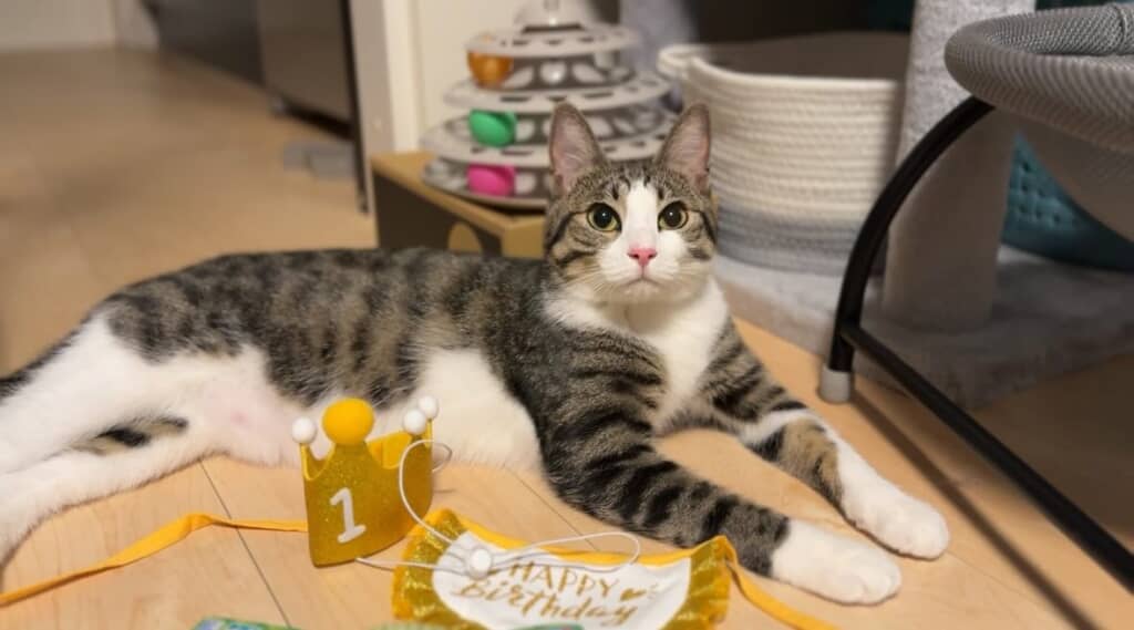 こんなに立派に成長しました！