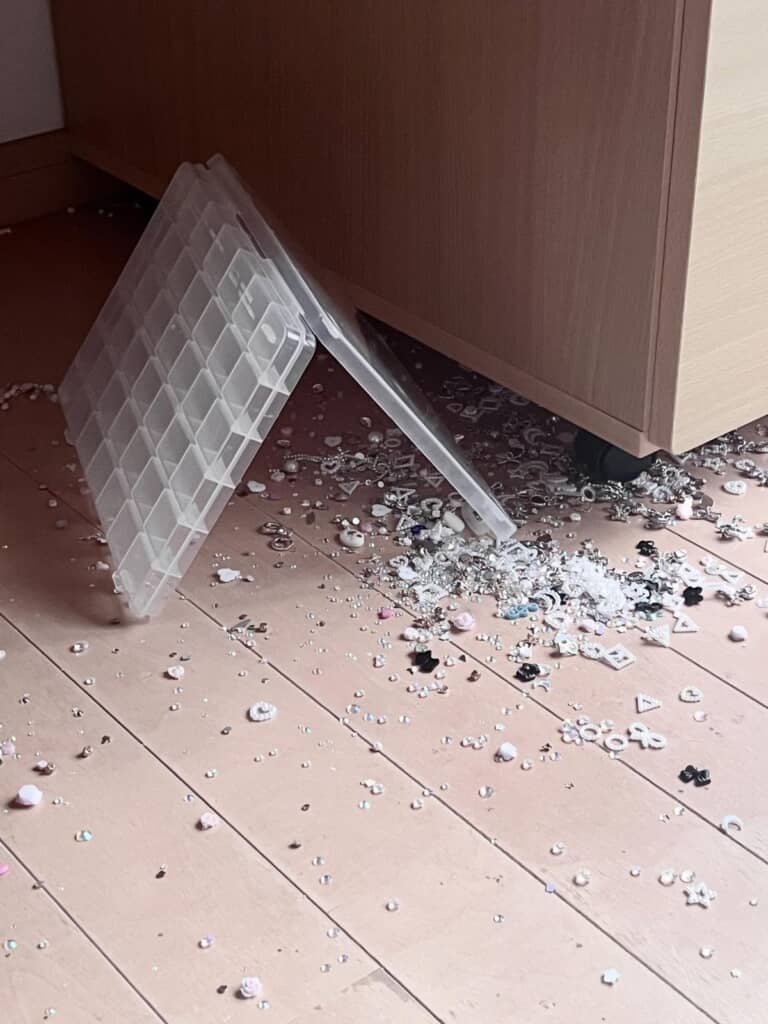 家具の下にも……