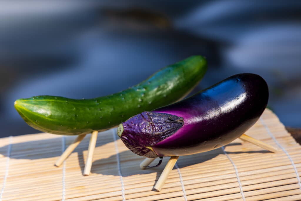 精霊馬といえばキュウリとナスが定番ですが……（出典：PIXTA）