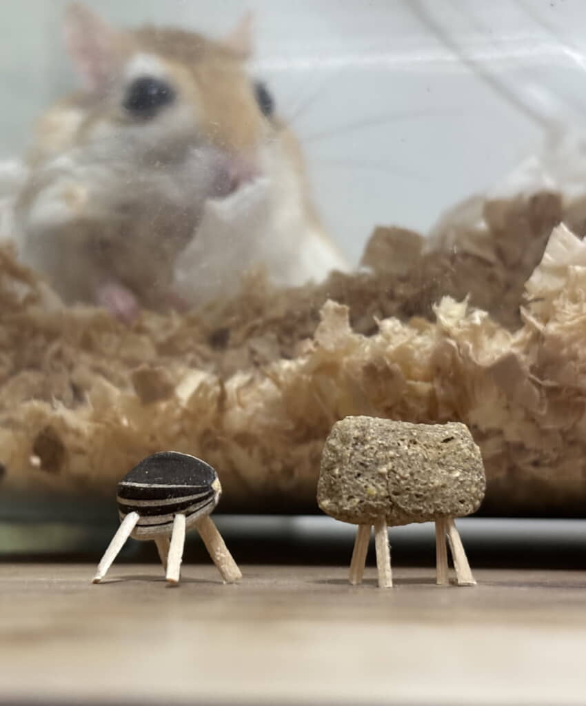 ひま種馬とペレット牛でお迎え