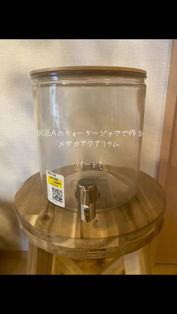 IKEAのウォータージャグでアクアリウムを作る