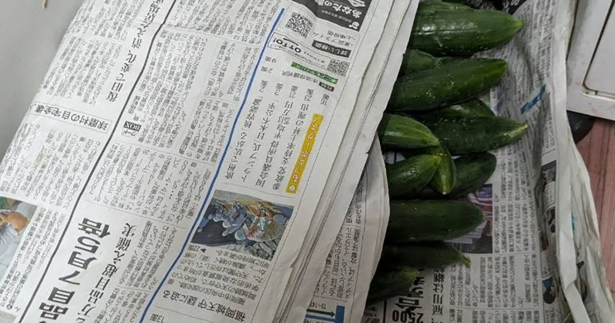 部屋のすみで新聞紙に包まれた“きゅうり”→近づいてみると……「いないとおもったら」　中に潜んでいた“まさかの生物”に反響（1/2） | 猫 ねとらぼ