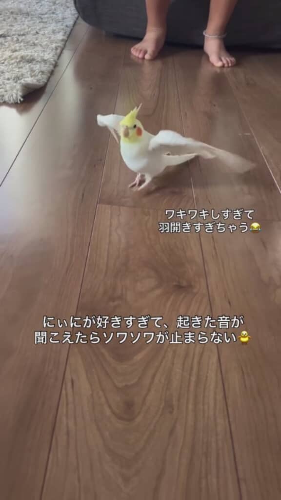 羽を開いてバタバタ