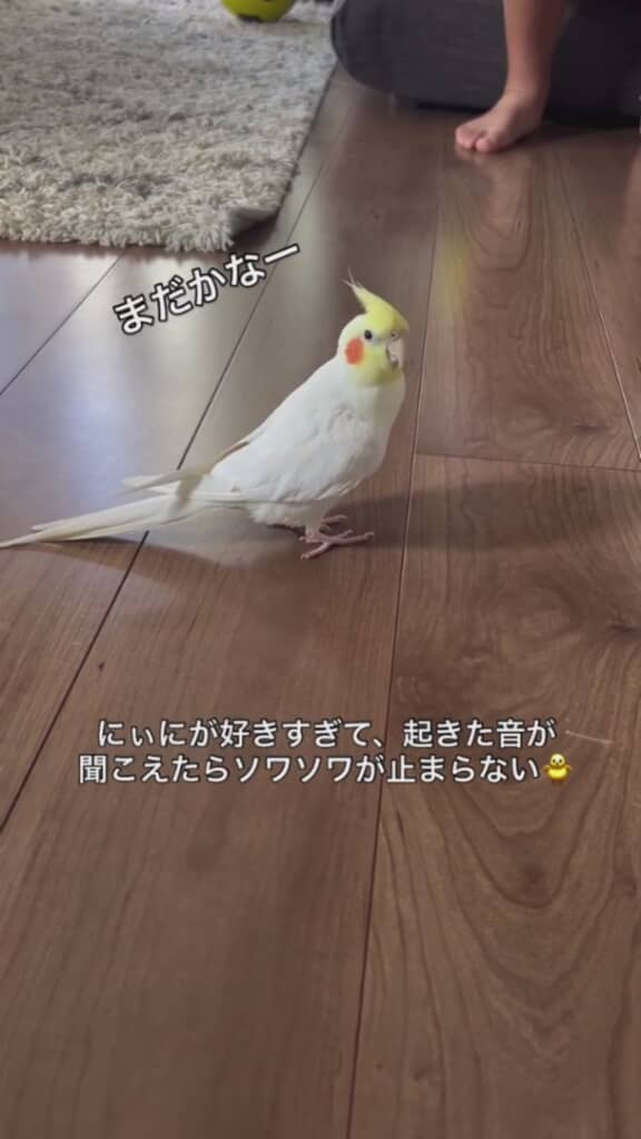 「まだかなー」と言っているみたい