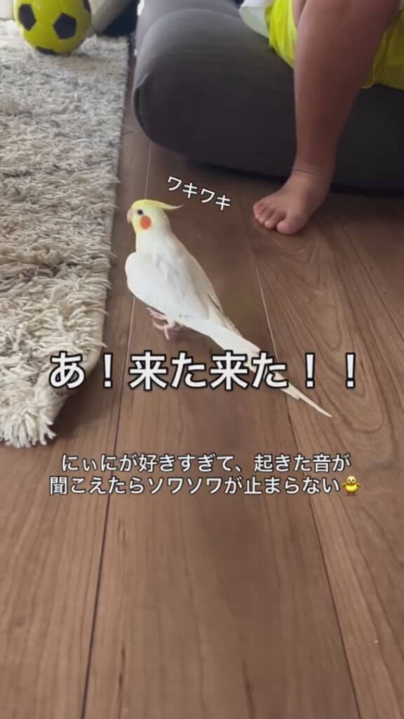 お兄ちゃんがついに部屋へ！