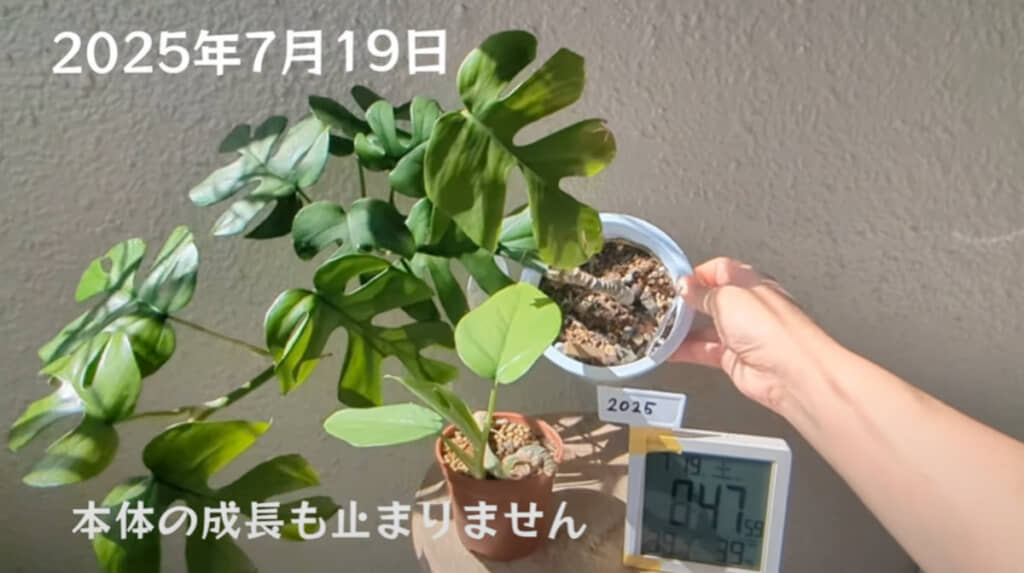 “救出”から約3カ月後にはこんなに立派に成長！