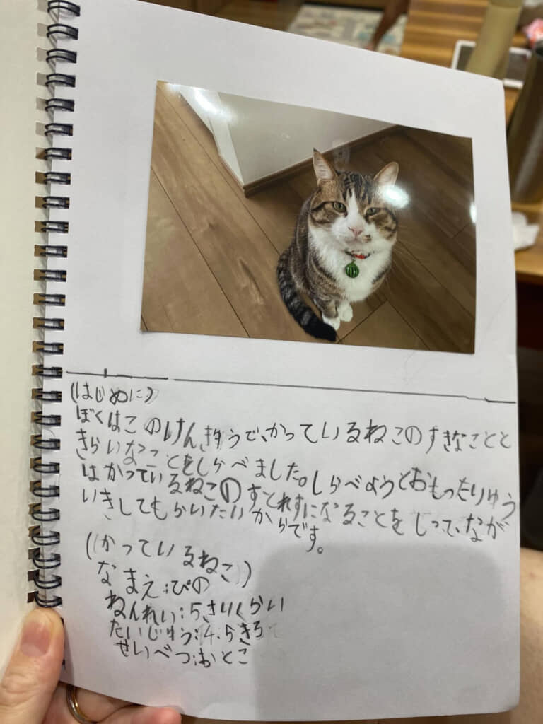 「猫」を調べることに決めた動機に心打たれる……