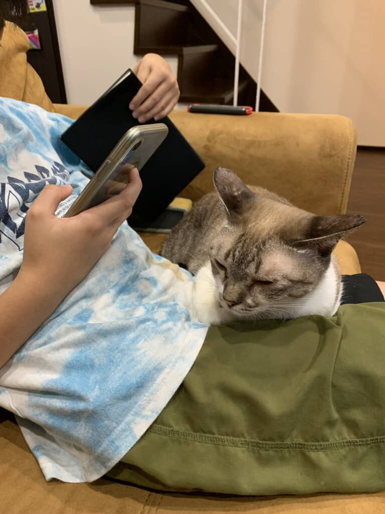 息子くんにもぴったり寄り添う