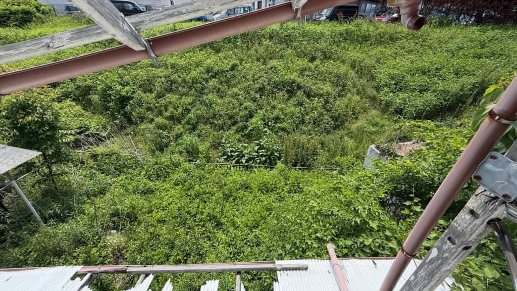 庭の全体（ビフォー）