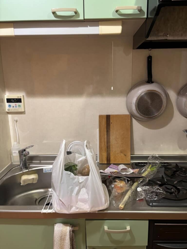 買ってきたものを片付ける時間も惜しい状態