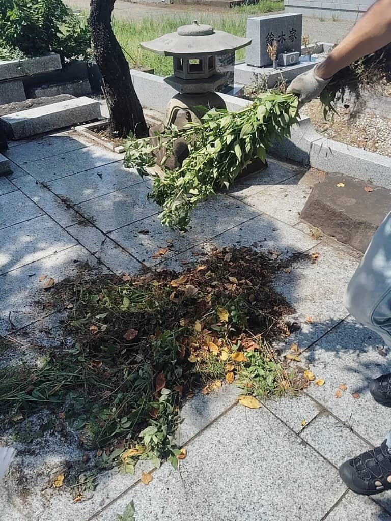 雑草で作った自家製ホウキ