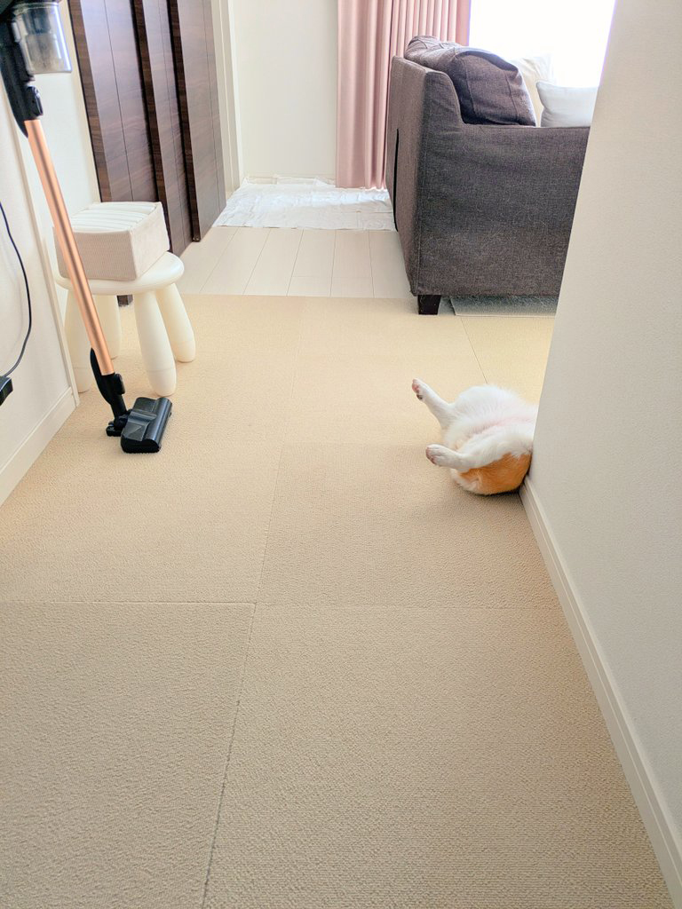 放り出されたあんよがかわいい……！